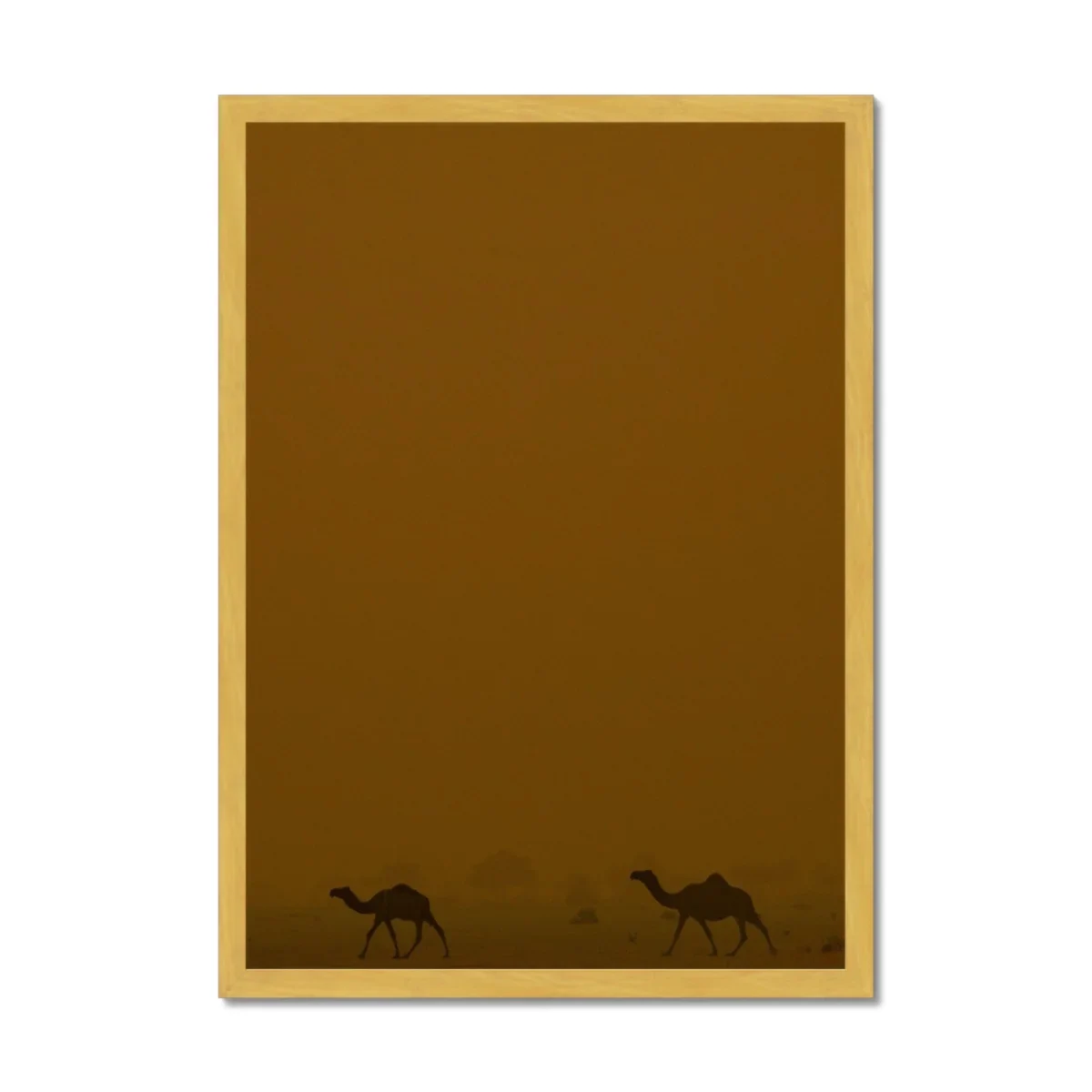 Roaming Camels II Riyadh