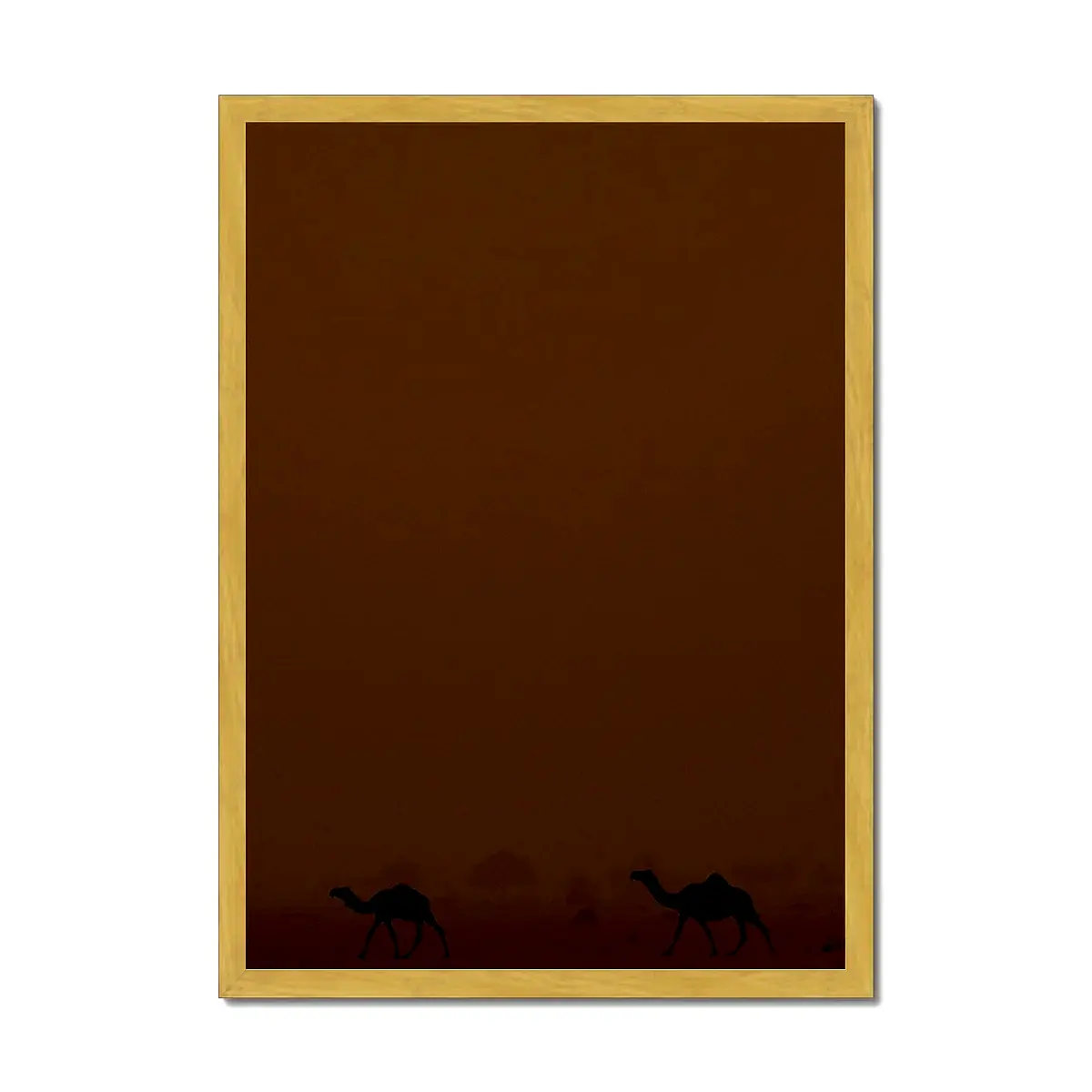 Roaming Camels II Riyadh