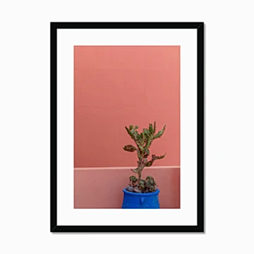 Terraesthetic