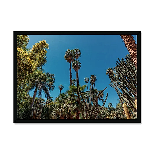 Jardin of Yves