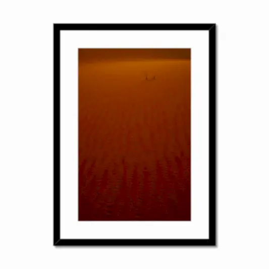 Arabian Sands | Tiger Lily Glow