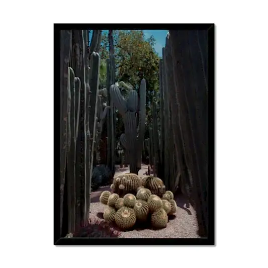 Yves Cacti