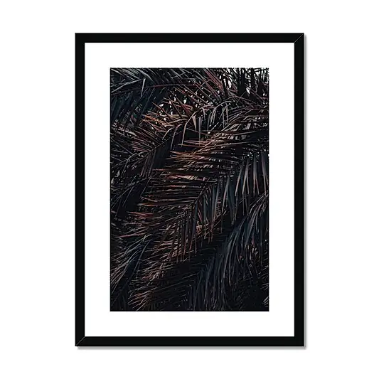 Saudi Palms