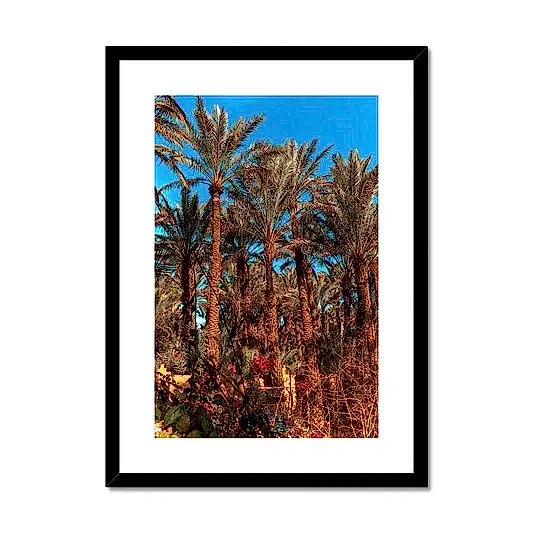 Date Trees