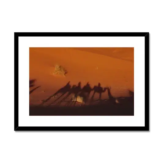 Desert Camel Caravan