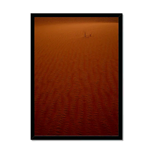 Arabian Sands | Tiger Lily Glow