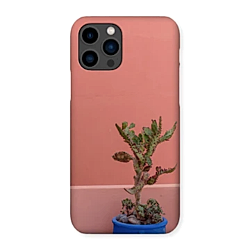 Terraesthetic Snap Phone Case
