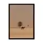 Camel Dammam Desert