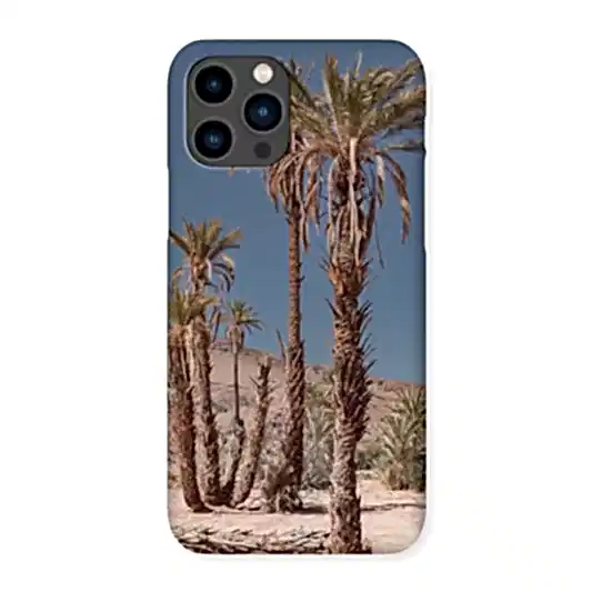 Oaze Snap Phone Case
