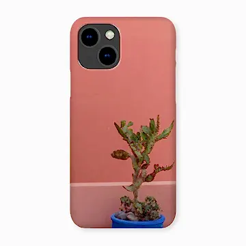 Terraesthetic Snap Phone Case