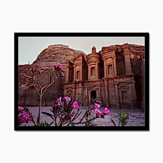 Ad Deir Bloom Petra