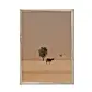 Camel Dammam Desert