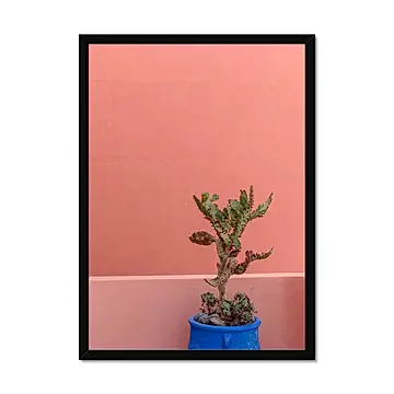 Terraesthetic