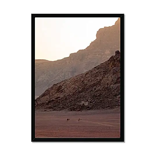 Wadi Rum Roamers
