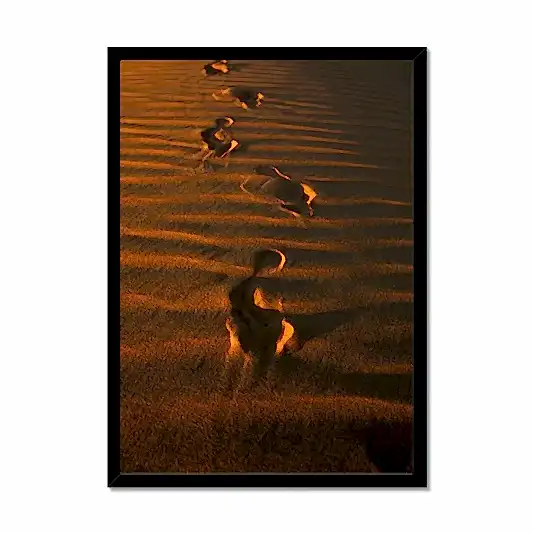 In the Footsteps of the Arabs | Empty Quarter