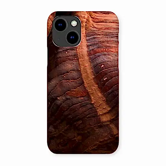 Petra Erosion II Snap Phone Case