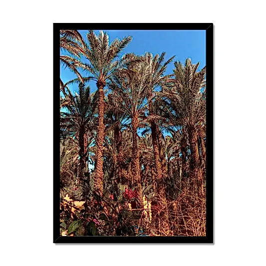 Date Trees