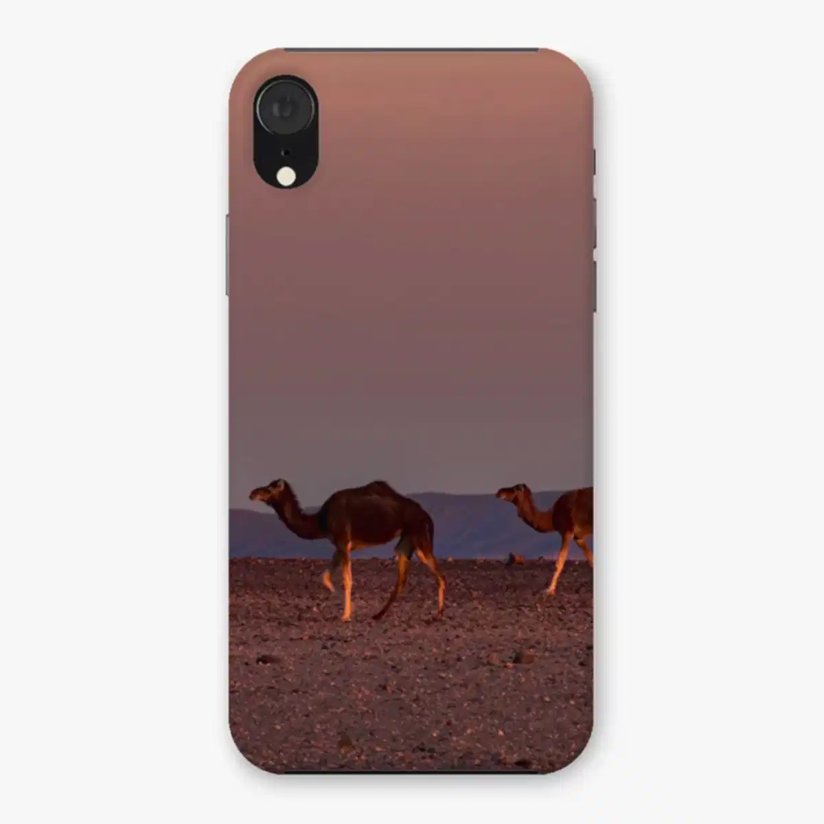 Roaming Camel Duo Snap Phone Case
